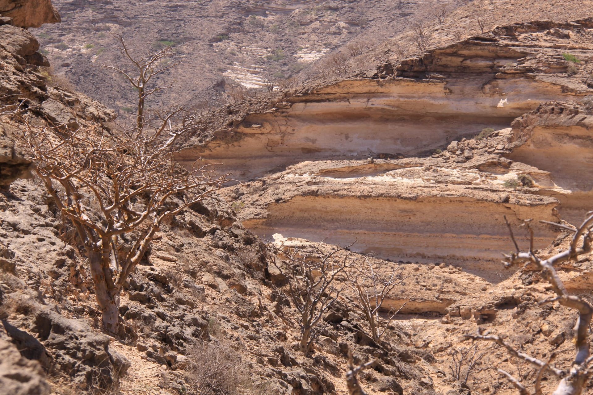 Arabische Welt: Auf der Spur des Weihrauchs im Oman