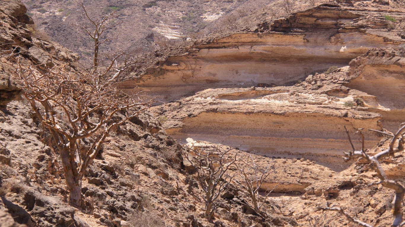 Arabische Welt: Auf der Spur des Weihrauchs im Oman