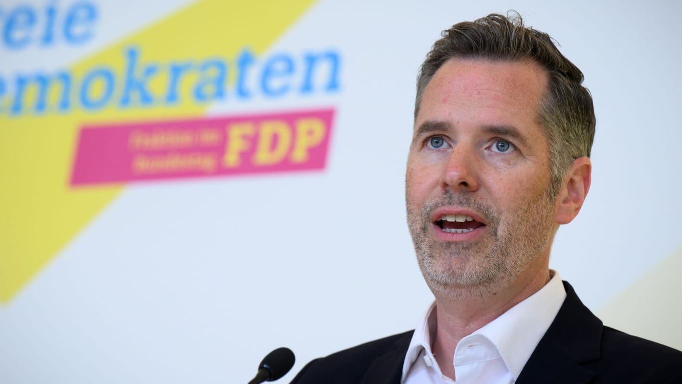 FDP-Fraktionschef Dürr