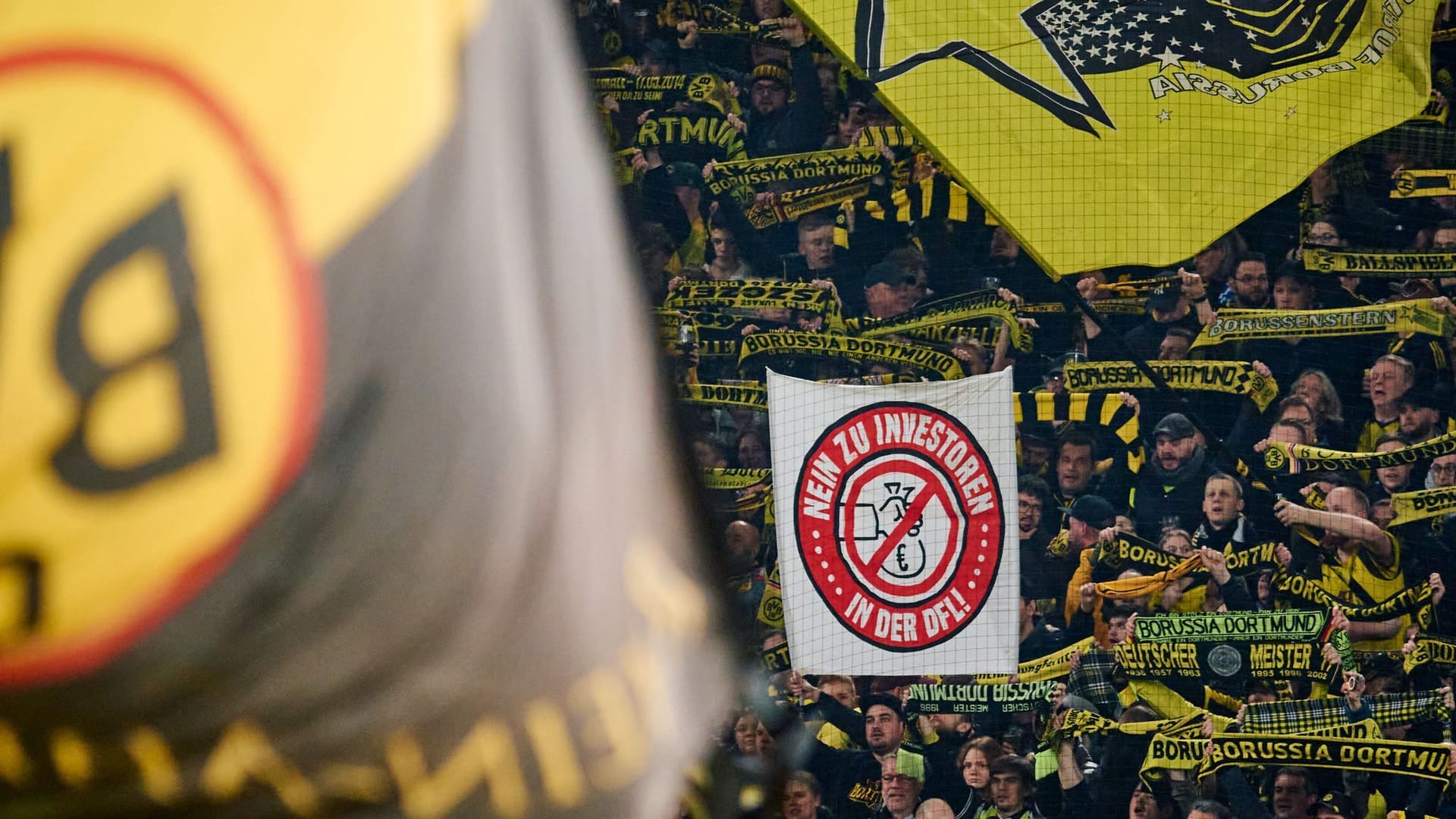 Fans von Borussia Dortmund