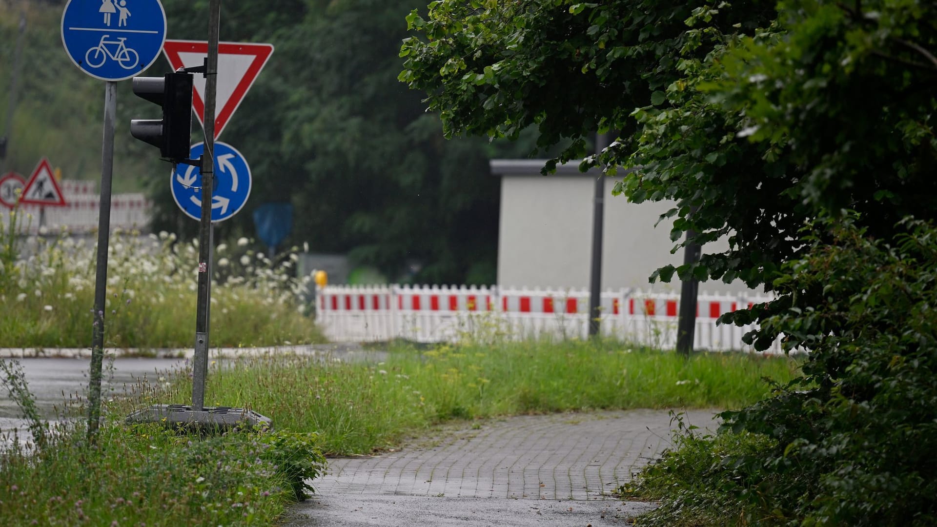 Verwaltungsgericht Münster verhandelt Streit um Äste und Sträuche