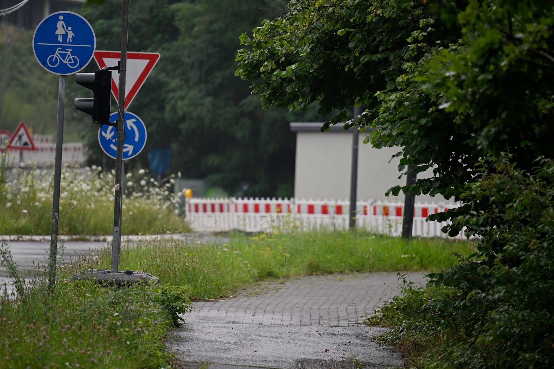 Verwaltungsgericht Münster verhandelt Streit um Äste und Sträuche