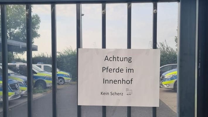Zwei Pferde hat die Polizei auf der A44 eingefangen: Die Tiere nächtigten auf dem Innenhof der Polizei Broichweiden. Zwei Pferde hat die Polizei auf der A44 eingefangen: Die Tiere nächtigten auf dem Innenhof der Polizei Broichweiden.