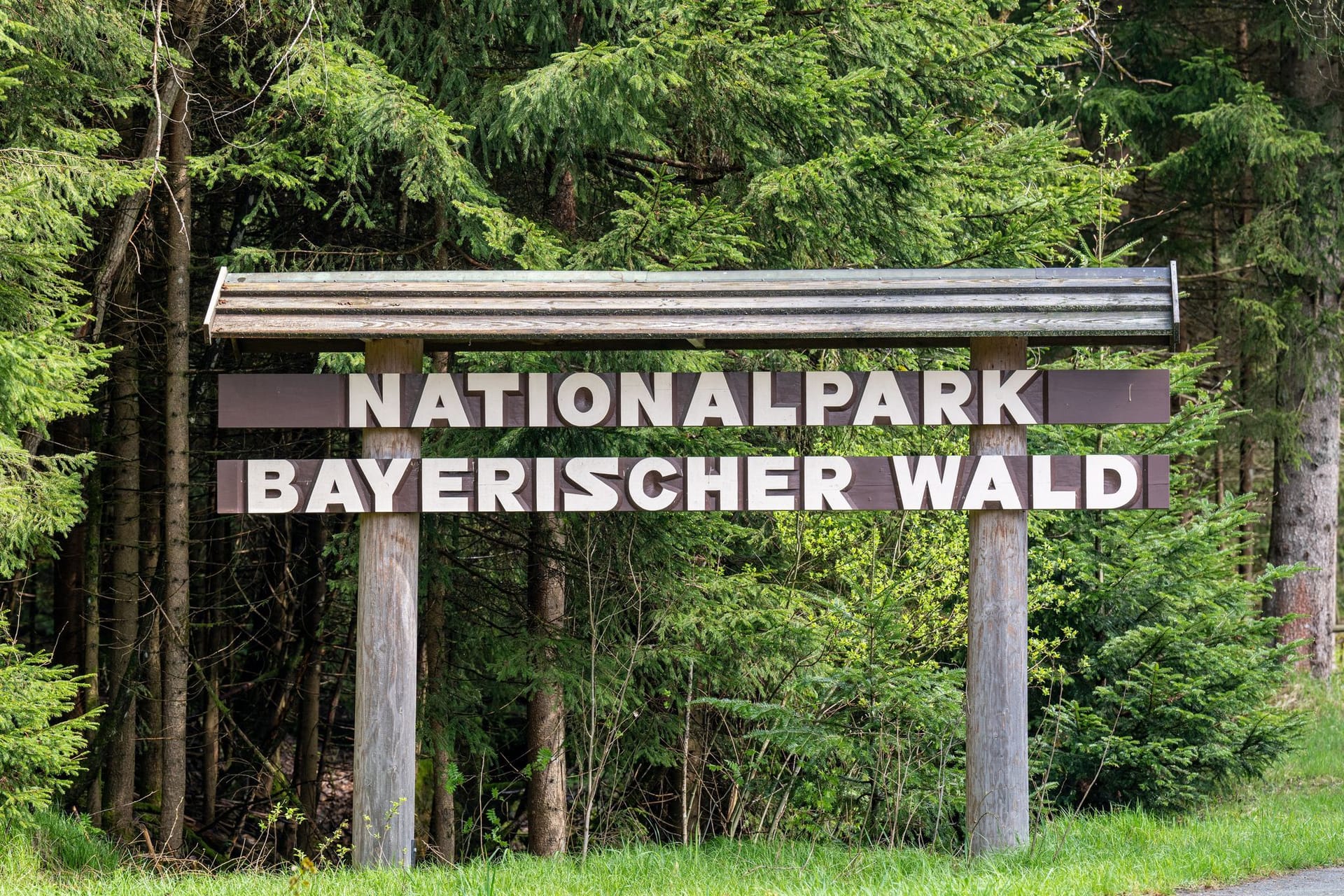 Pressekonferenz im Nationalpark Bayerischer Wald