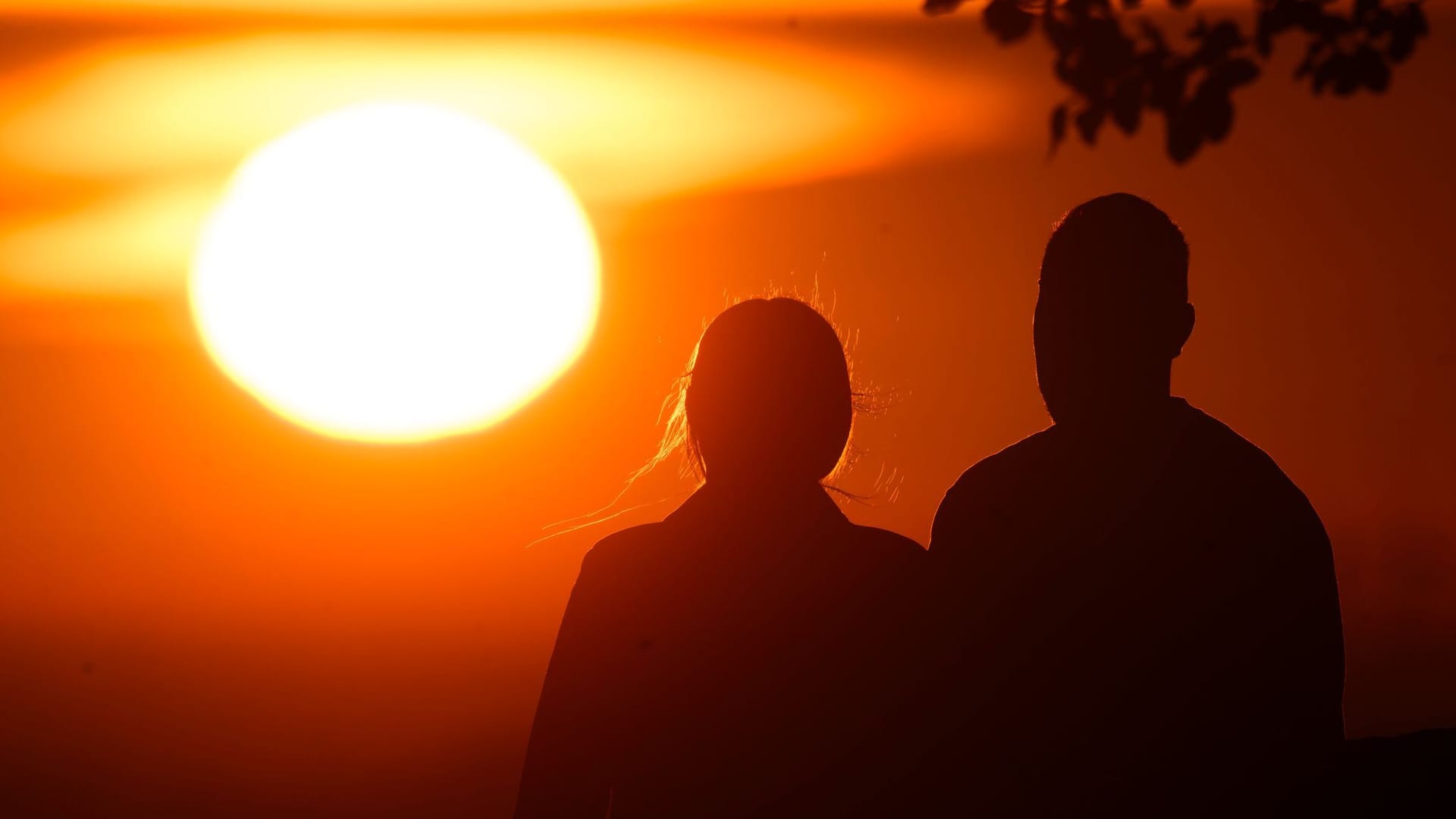 Valentinstag: Wie Liebe unser Gehirn auf den Kopf stellt