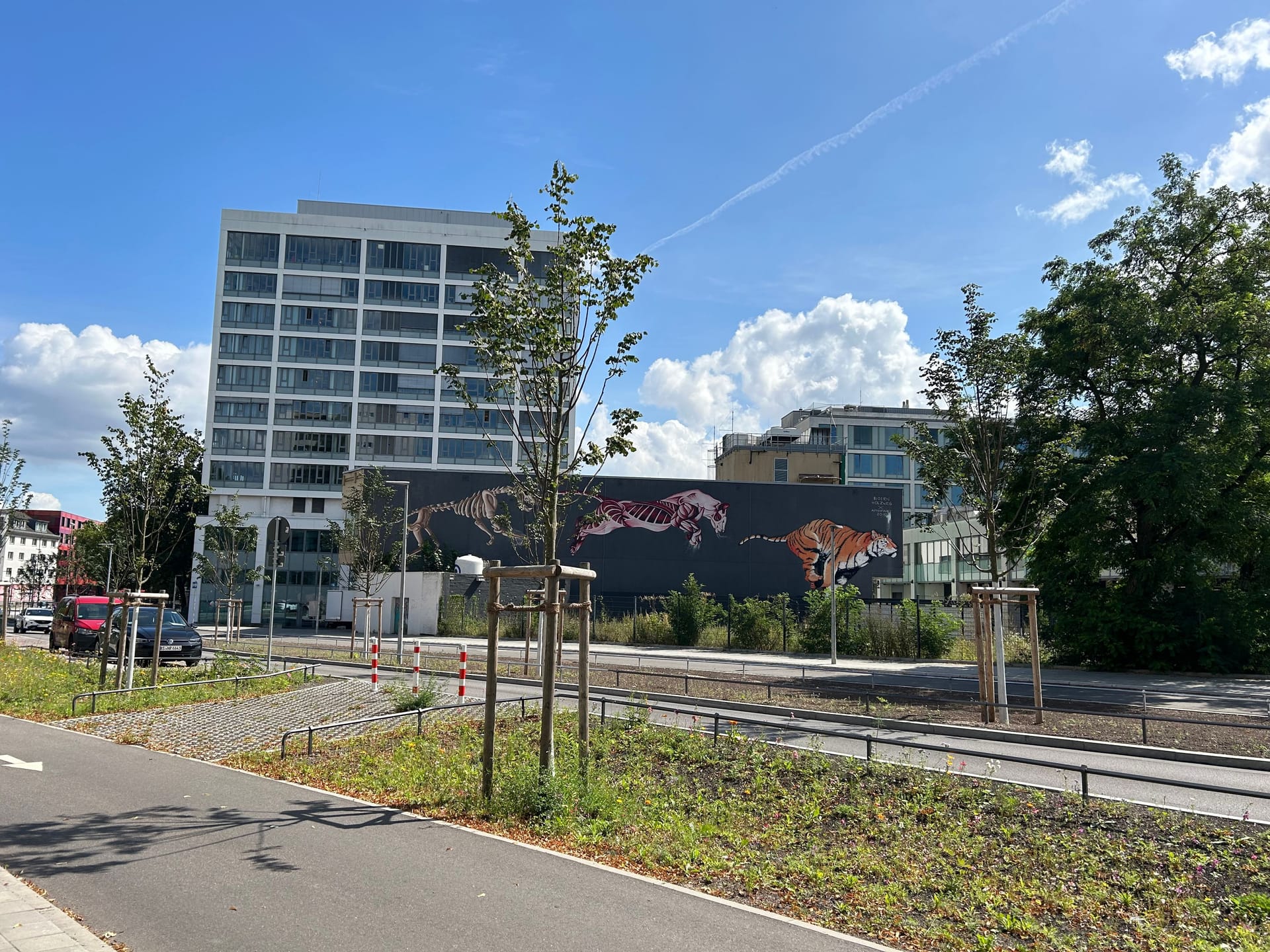 Jetzt steht in der Louise-Schroeder-Straße eine junge Allee. Und Radfahrer haben eigene Spuren.