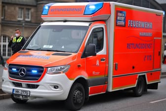 Rettungswagen vor dem Hamburger Hauptbahnhof (Symbolbild): Der folgenschwere Unfall führte zu einem größeren Rettungseinsatz.