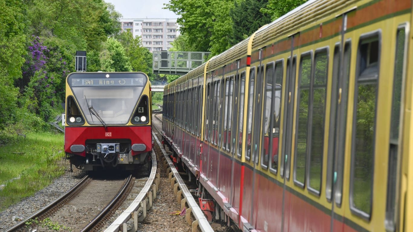 Die Ringbahn in Berlin (Archivbild): Auf den Strecken der S41 und S42 kommt es zu Beeinträchtigungen.