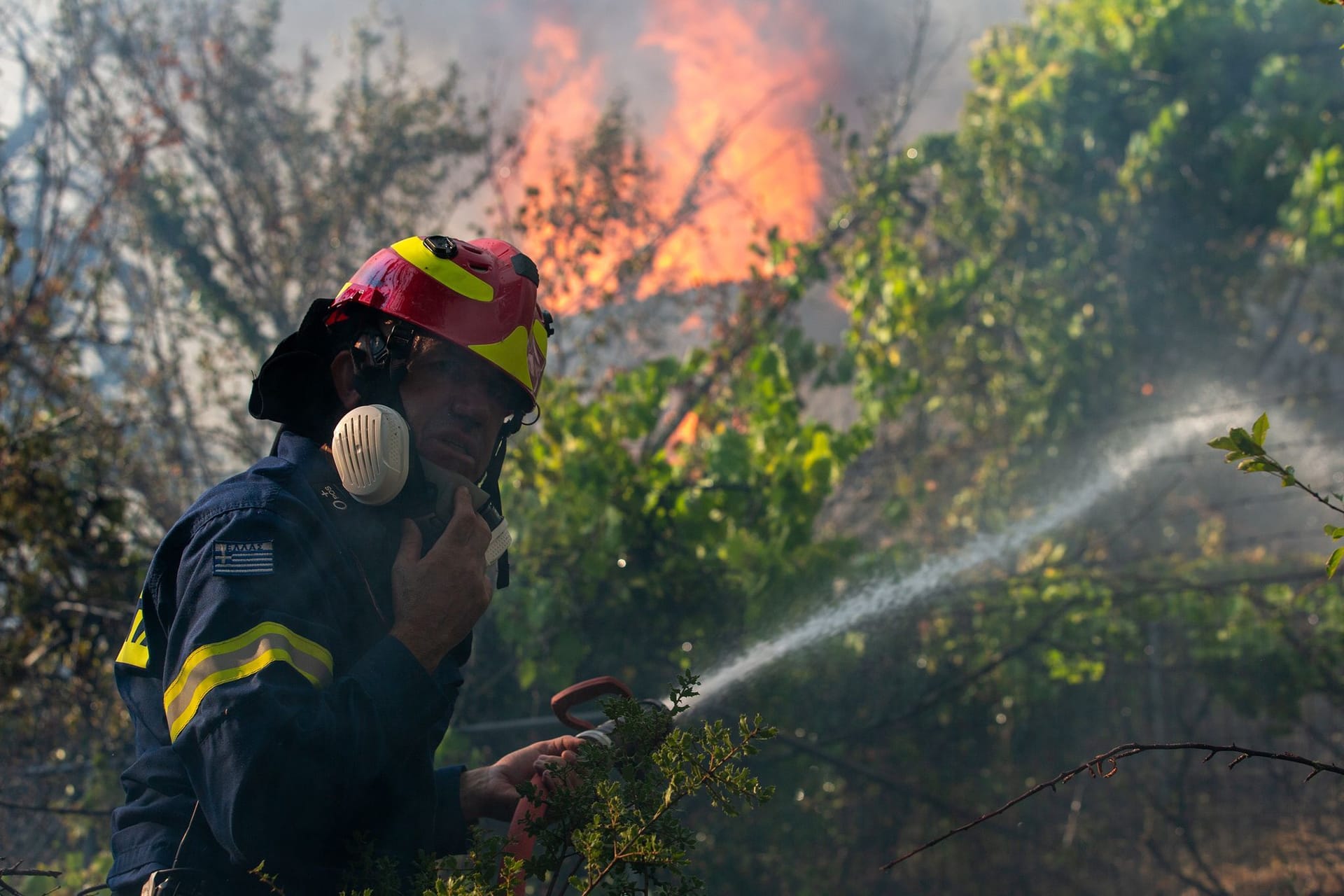 Ein Feuerwehrmann versucht in Varnavas, etwa 35 km von Athen ein Lauffeuer zu löschen.