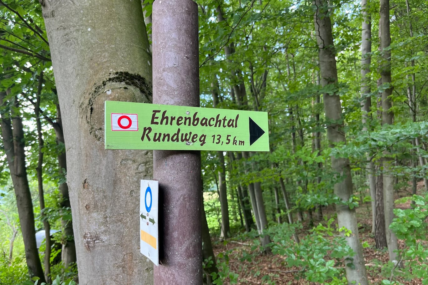 Wer den Weg gehen will, muss nur dem Symbol mit dem roten Kreis folgen.