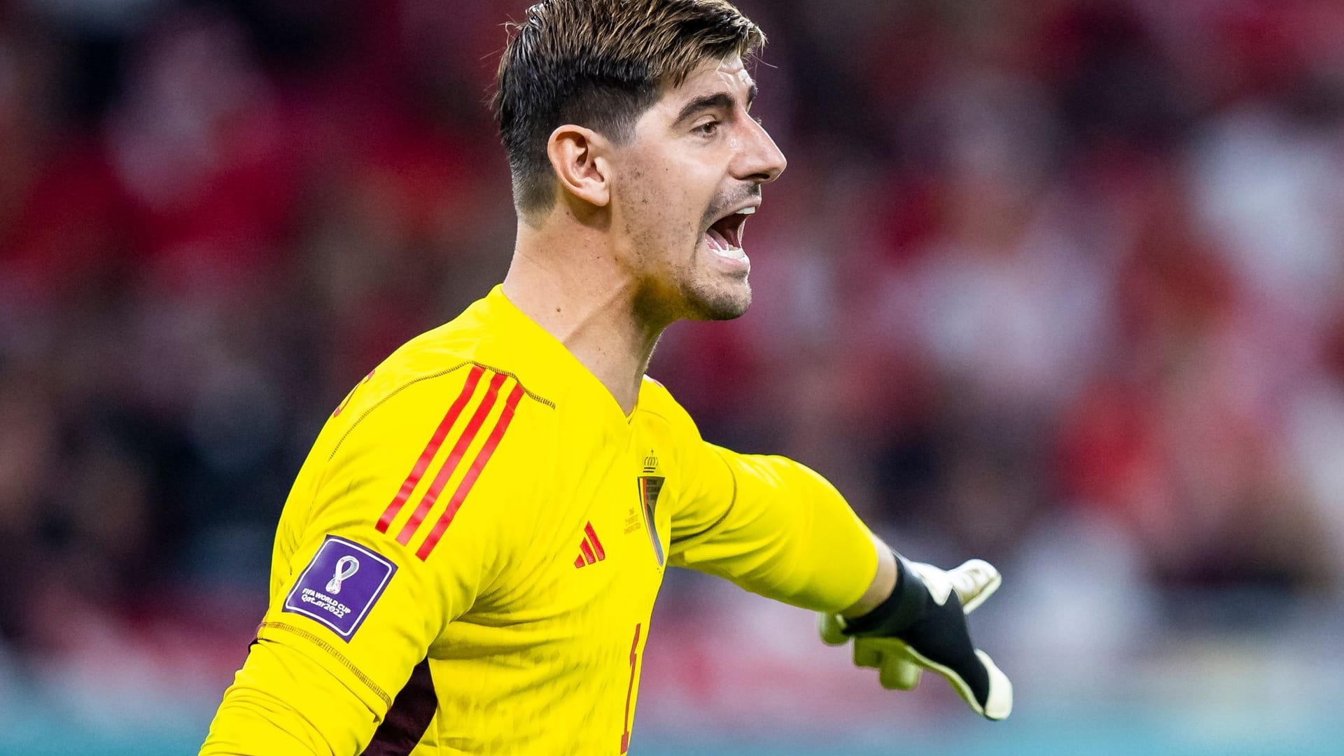 Thibaut Courtois