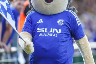 Sponsor "Sun Minimeal" auf dem Schalke-Trikot (Symbolbild): Von vorne sieht das Trikot normal aus, doch auf der Rückseite wartet eine böse Überraschung.