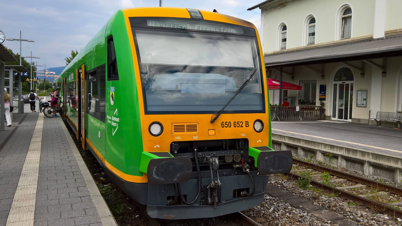 Die Waldbahn (Archivbild): Die Hitze hat die Linie beeinträchtigt.