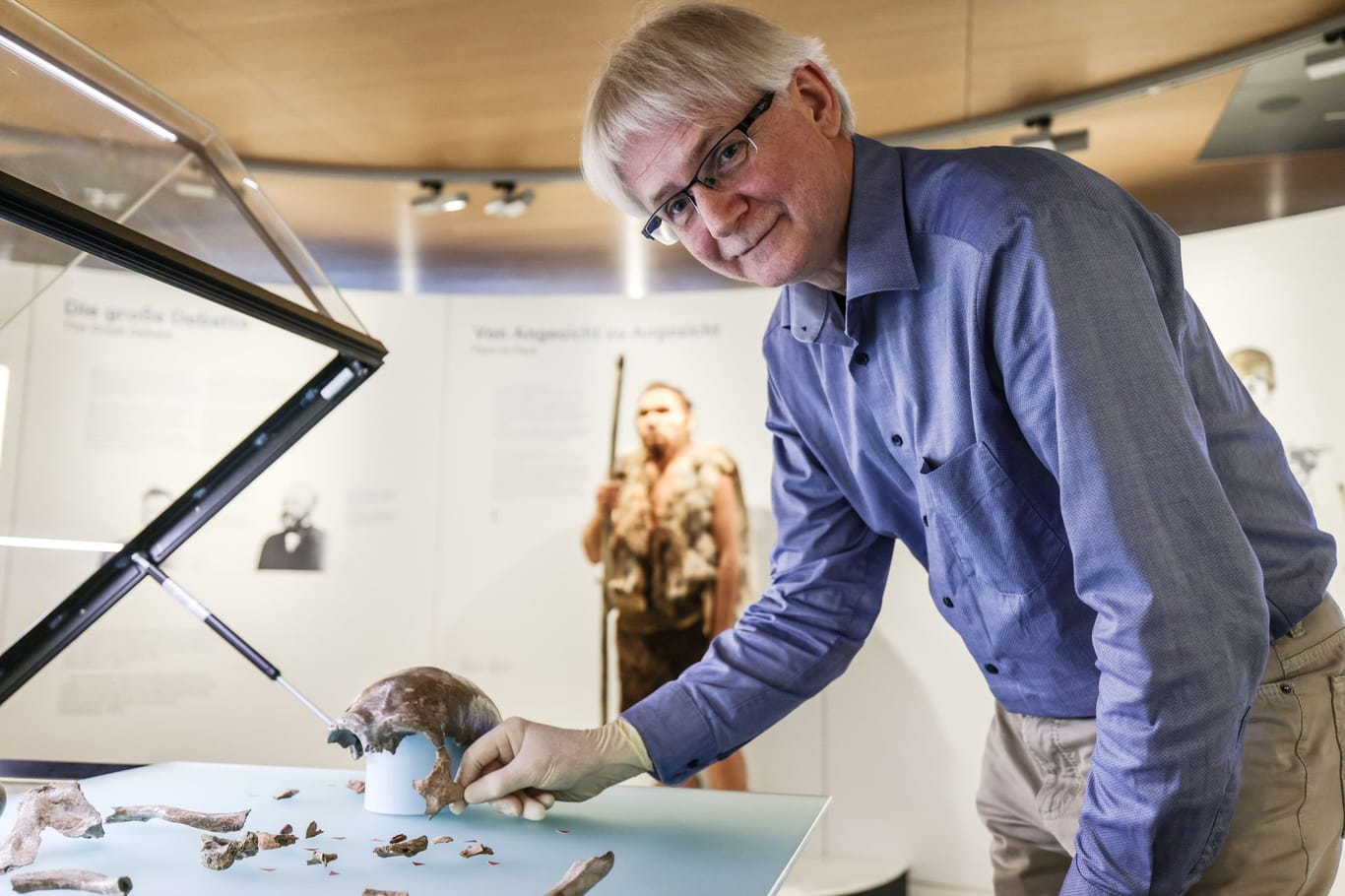 Neandertaler im LVR-LandesMuseum Bonn