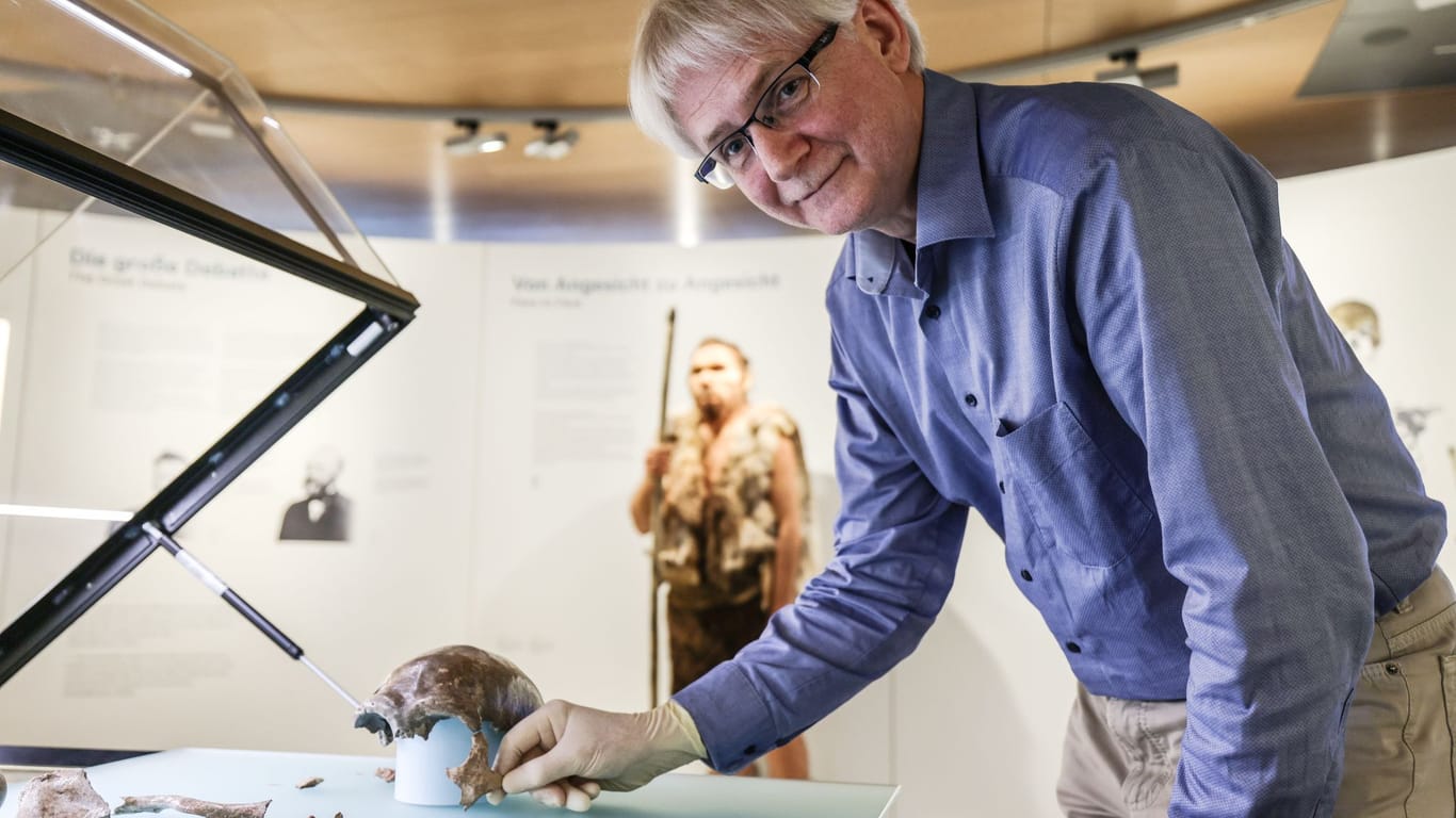 Neandertaler im LVR-LandesMuseum Bonn