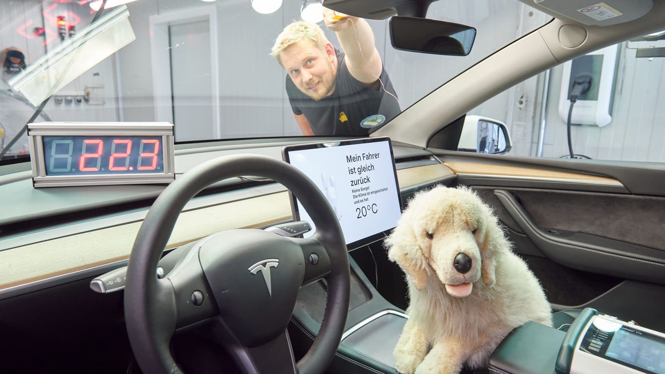 Labortest: Die Autos wurden unter gleichen Bedingungen geprüft – und mit Stoffhund als Probanden.