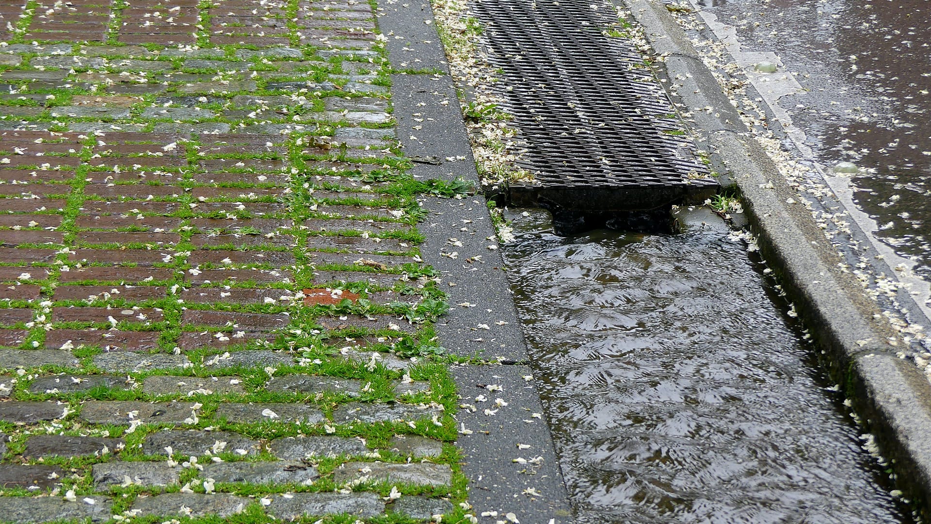 Der Annuntiantenbach ist aktuell außer Betrieb.