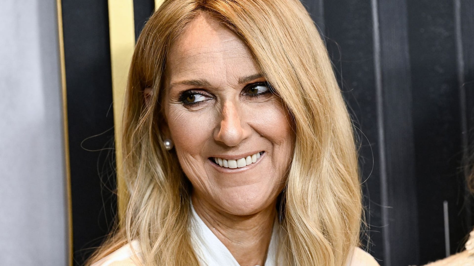 Sängerin Celine Dion Sängerin Celine Dion