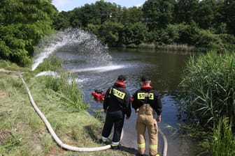 Fischsterben im Gleiwitzer Kanal in Polen