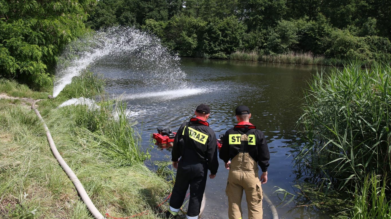 Fischsterben im Gleiwitzer Kanal in Polen