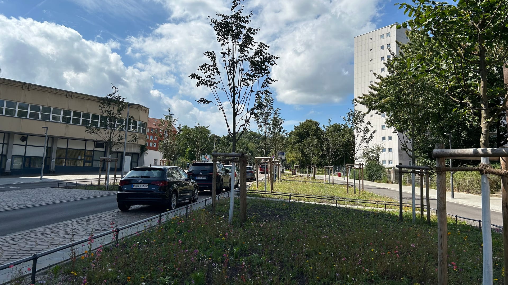 Im August 2024 bietet sich ein anderes Bild. In der Mitte der Straße wächst nun eine Blumenwiese.