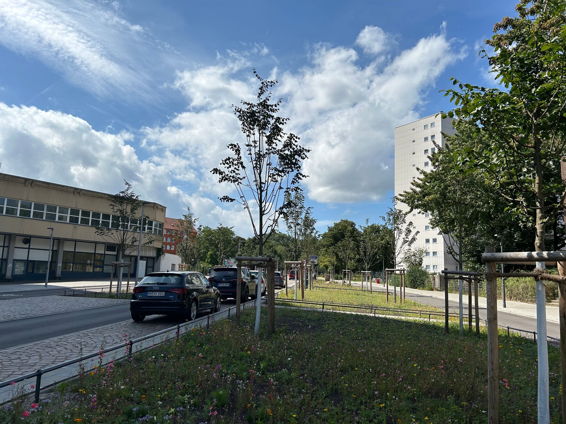 Im August 2024 bietet sich ein anderes Bild. In der Mitte der Straße wächst nun eine Blumenwiese.