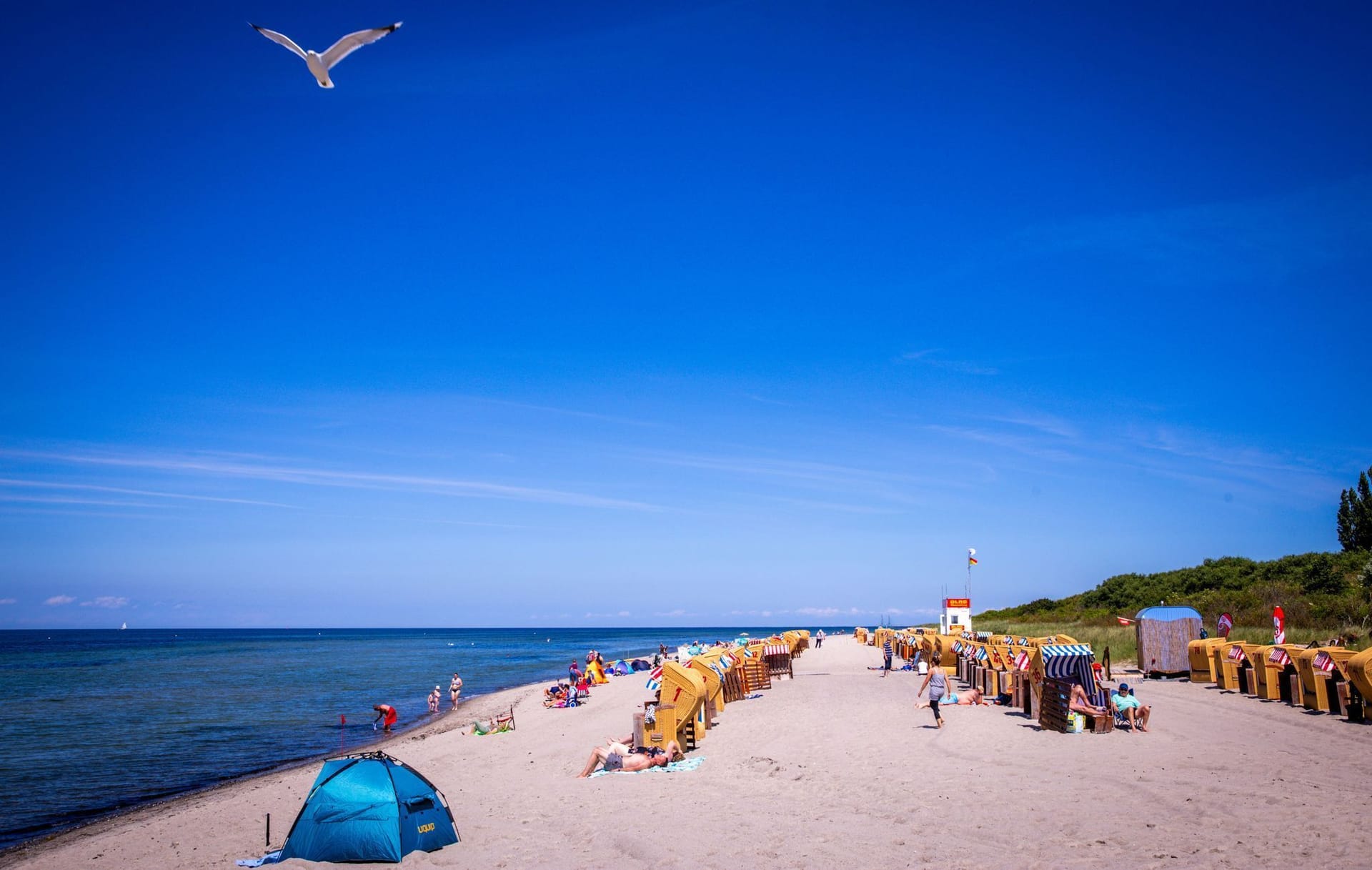 So schön wie auf der Ostseeinsel Poel kann der deutsche Sommer sein.