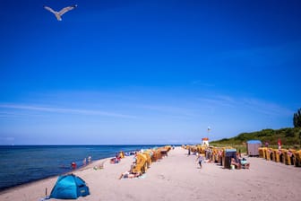 So schön wie auf der Ostseeinsel Poel kann der deutsche Sommer sein.