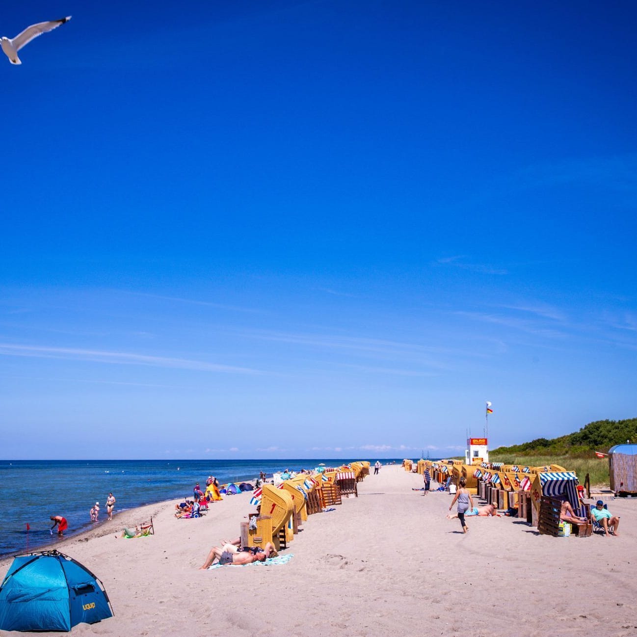 So schön wie auf der Ostseeinsel Poel kann der deutsche Sommer sein.