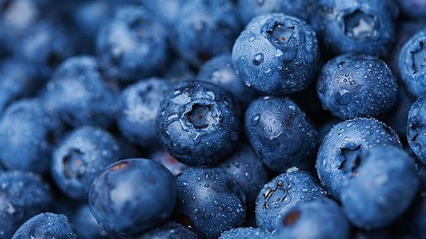 Blaubeeren: Wie der Name schon verrät, haben sie eine blaue Schale.