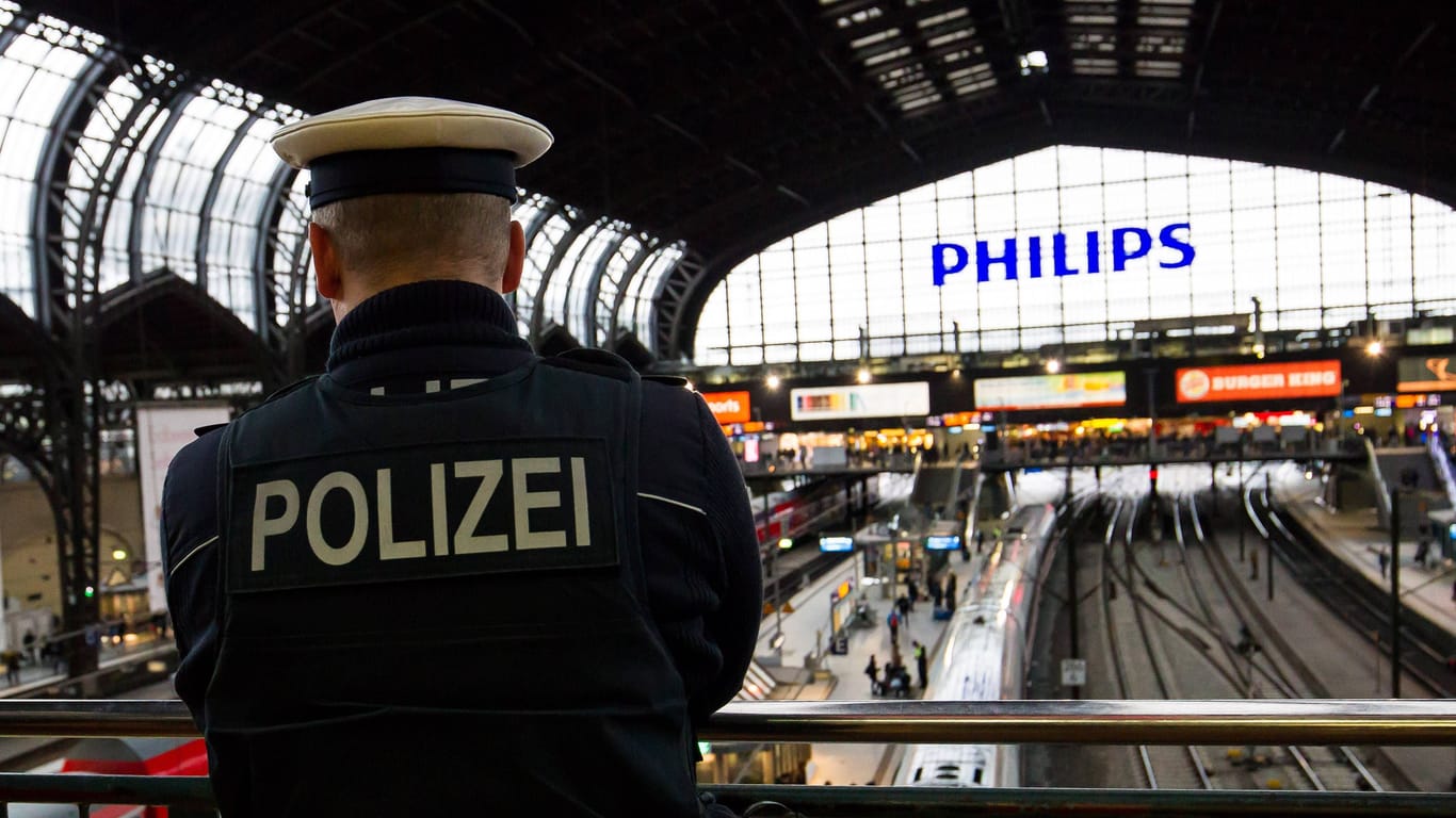 Bundespolizist am Hamburger Hauptbahnhof (Symbolbild): Die Beamten erhielten von Zeugen mehrere Hinweise zu dem Mann.