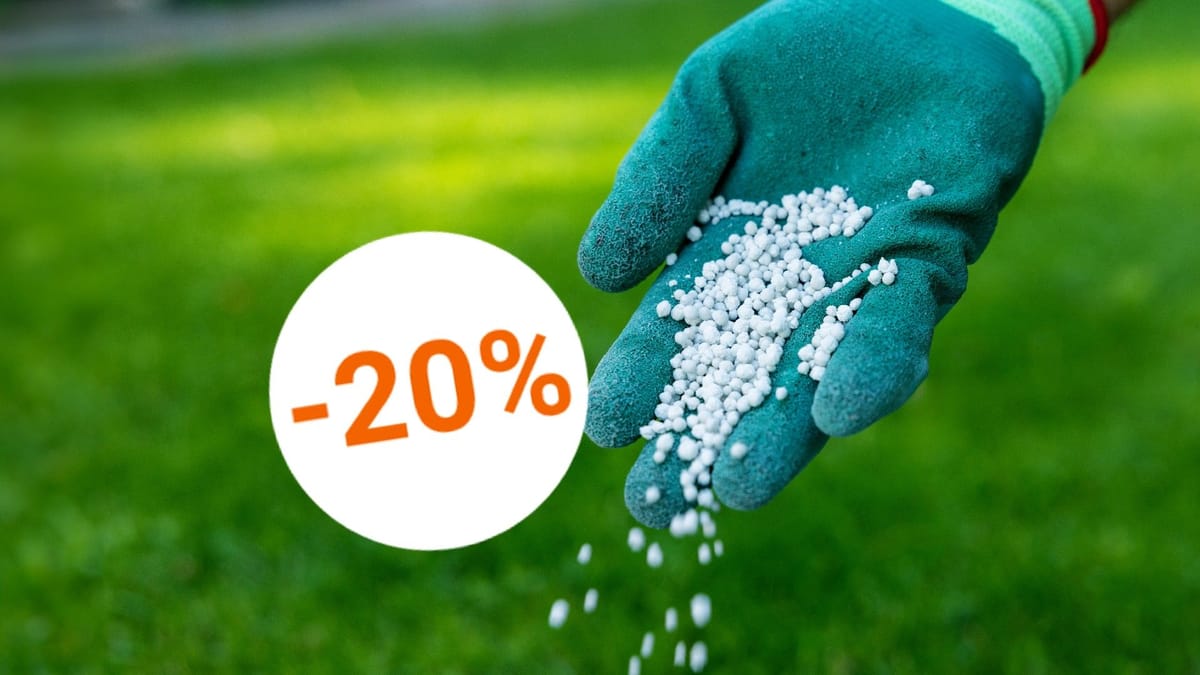 HerbstRasendünger im Angebot Die ideale Vorbereitung für den Winter