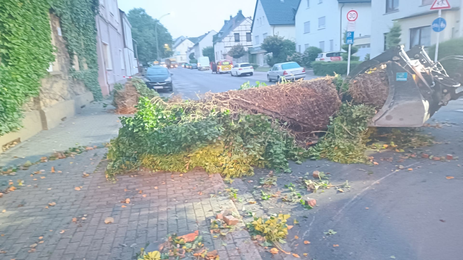 Die Feuerwehr entfernte mehrere hundert Kilo Efeu von dem Wohnhaus. Der Besitzer muss sich nun um die Entsorgung kümmern.