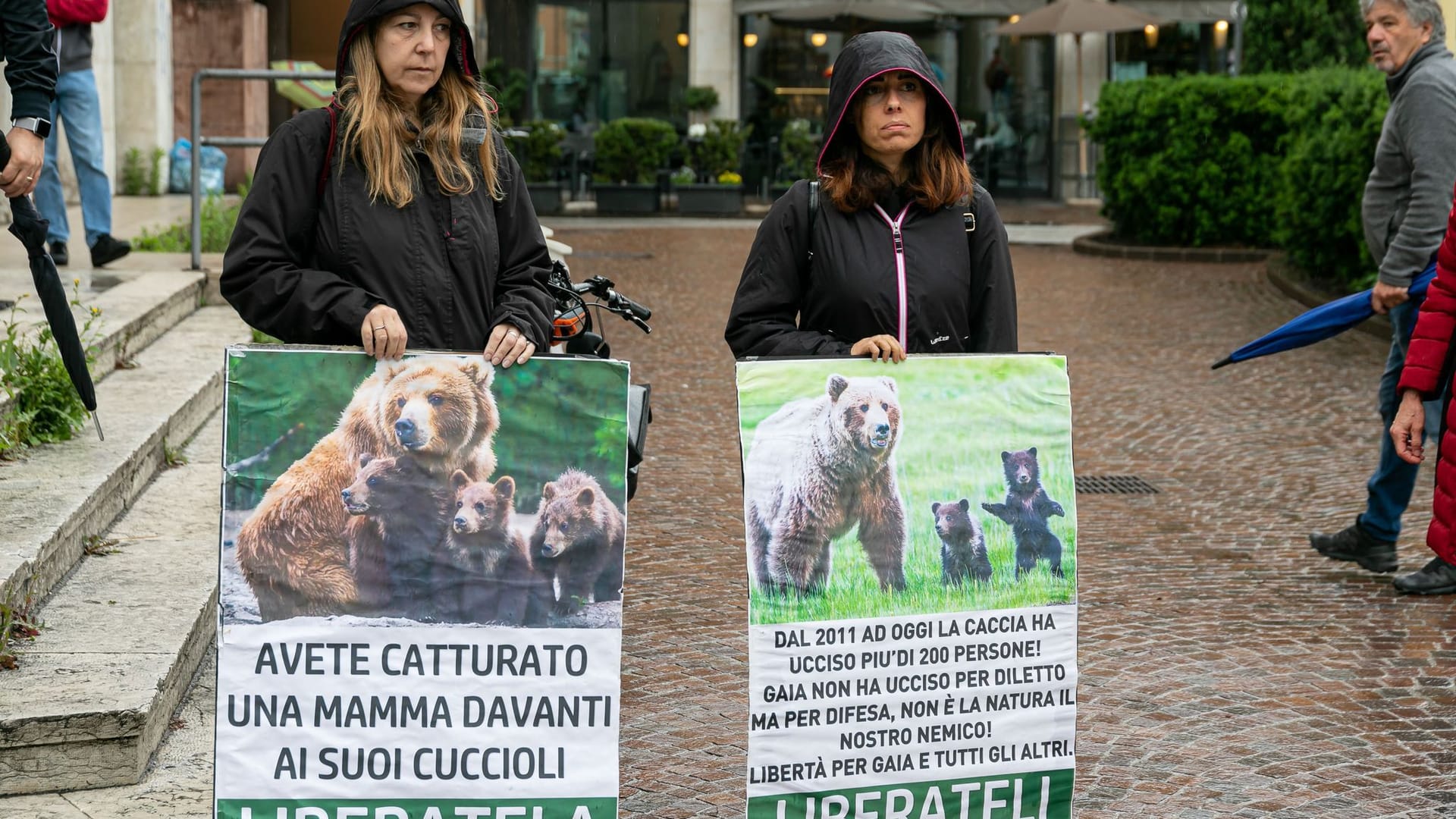 Italien: Entscheidung über Abschussbefehl für Bärin JJ4 vertagt