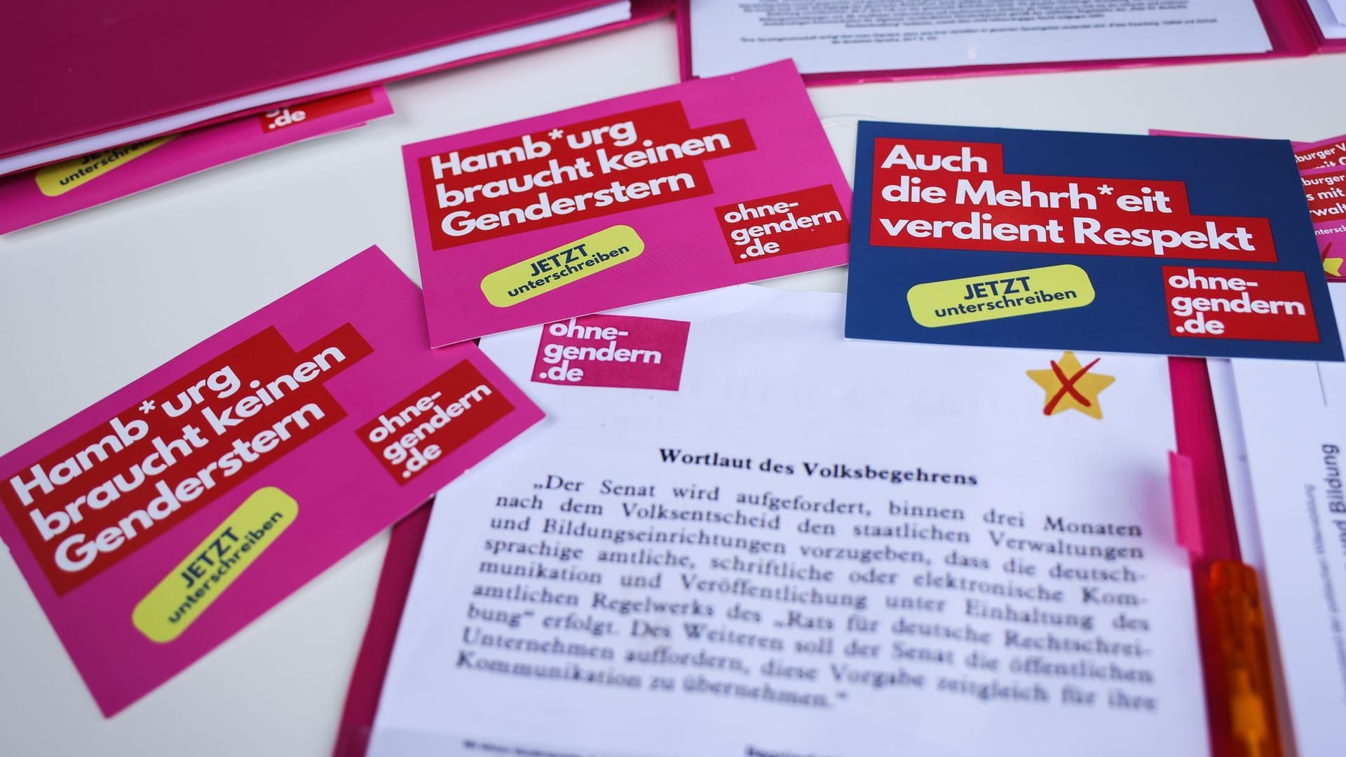 Die Anti-Gender-Initiative macht den Hamburger Senat für das drohende Scheitern verantwortlich. (Archivbild) Die Anti-Gender-Initiative macht den Hamburger Senat für das drohende Scheitern verantwortlich. (Archivbild)