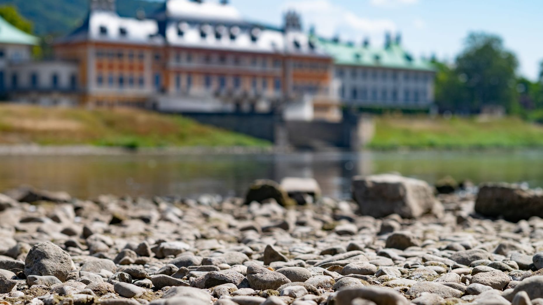 Sommer in Dresden