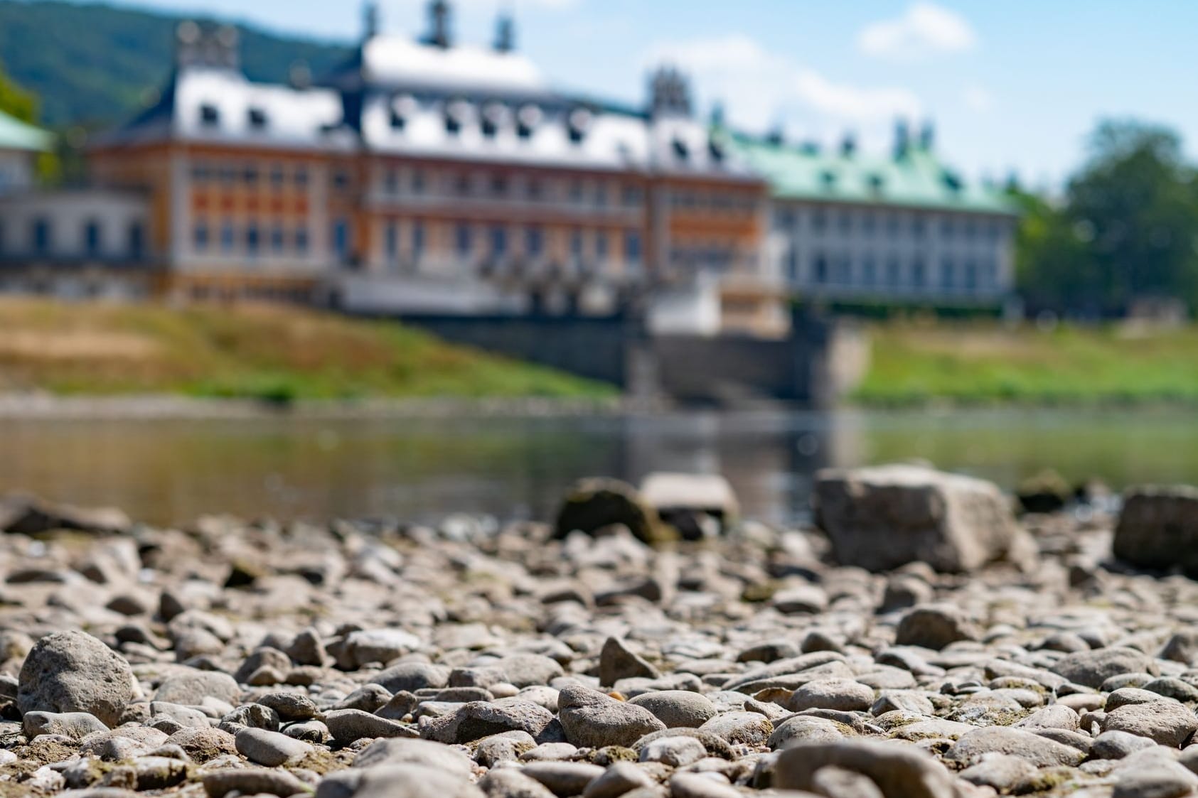 Sommer in Dresden