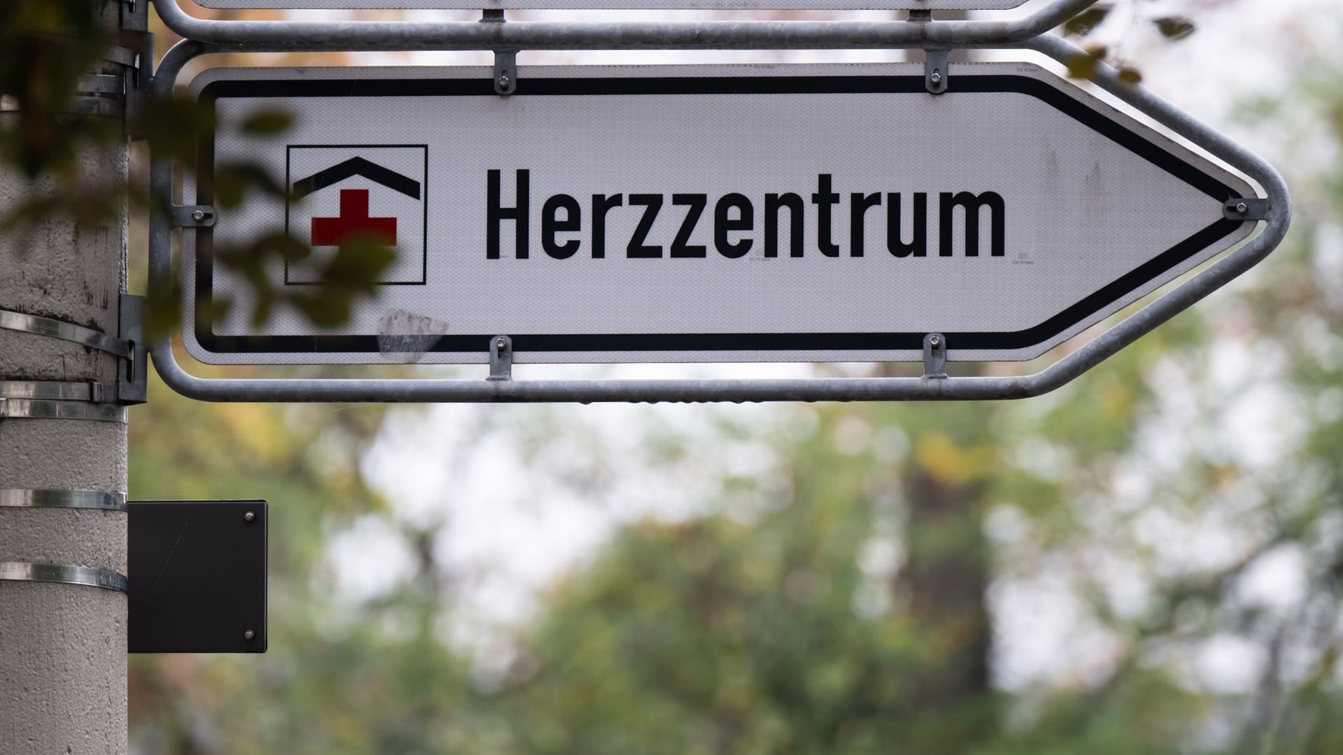 Wegweiser Herzzentrum