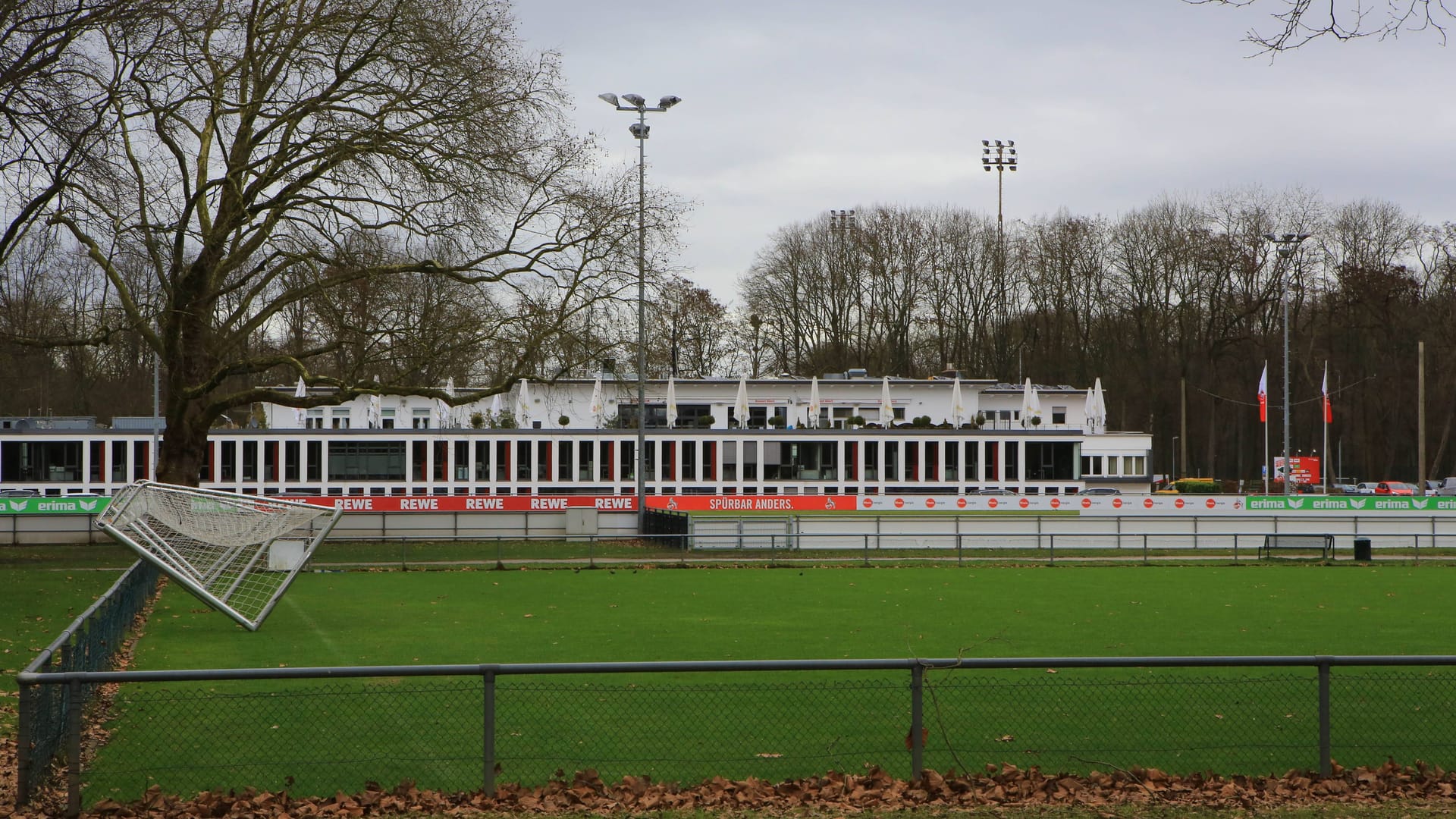 Der RheinEnergieSportpark mit dem Geißbockheim (Archivfoto): Seit über einem Jahrzehnt ringen Stadt, Verein und eine Naturschutzgruppe um dessen Zukunft.