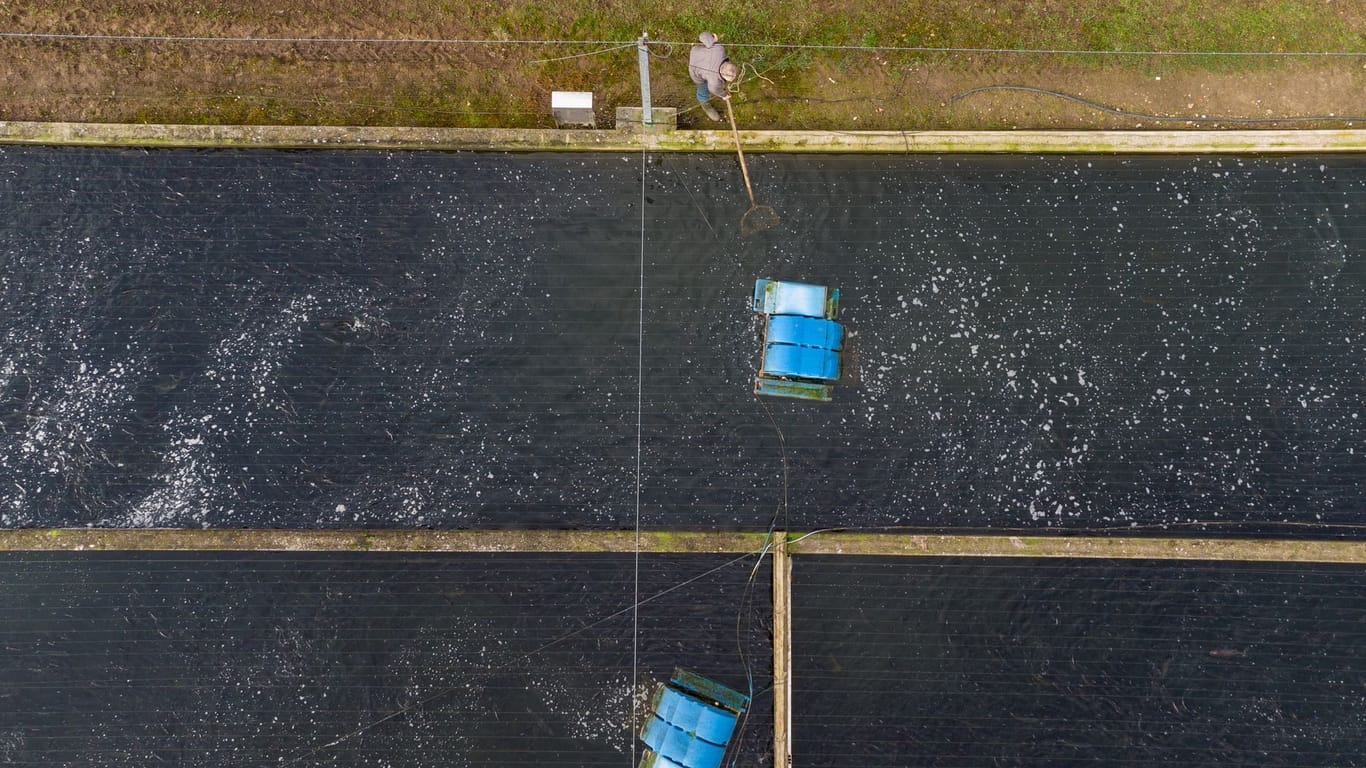 Aquakultur in Niedersachsen