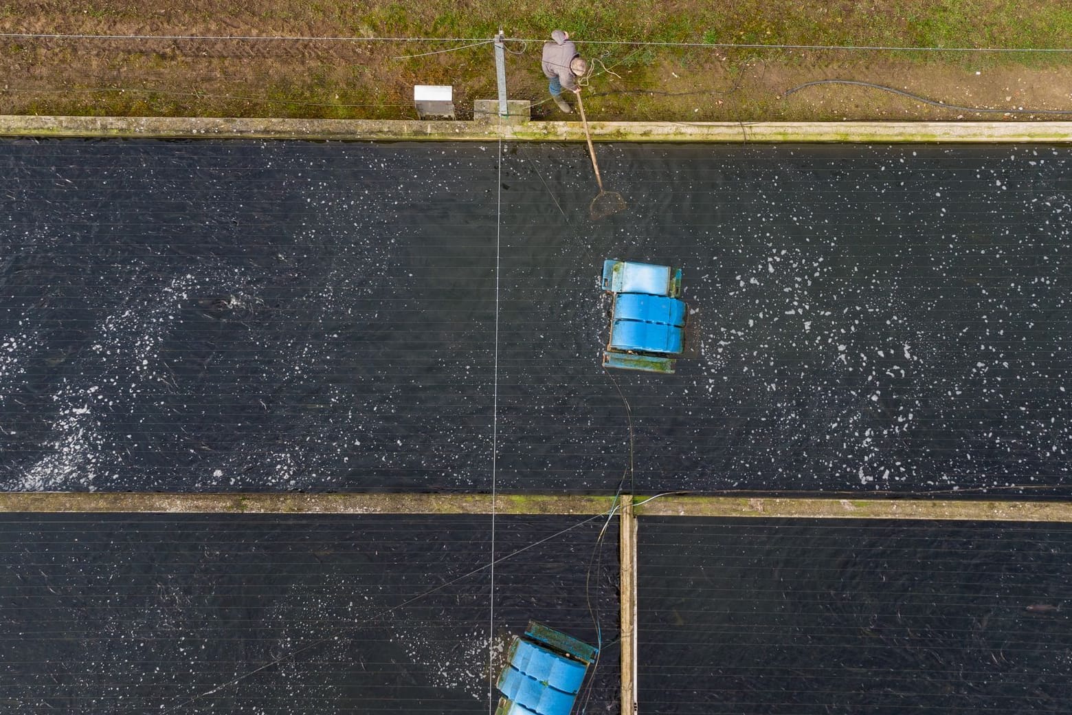 Aquakultur in Niedersachsen