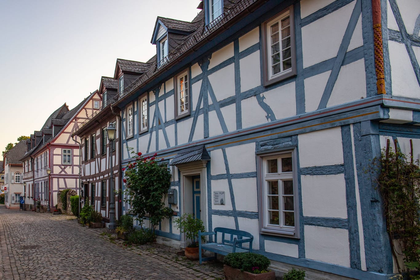 Eltville am Rhein, Weinanbaugebiet im Rheingau, Rheingau-Taunus-Kreis in Hessen, Deutschland. Schöne alte Gassen mit Fachwerkhäusern