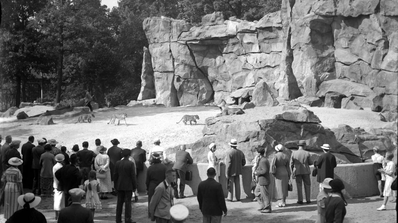 Der Berliner Zoo besteht seit 1844: So sah die Löwenfreianlage einst aus.