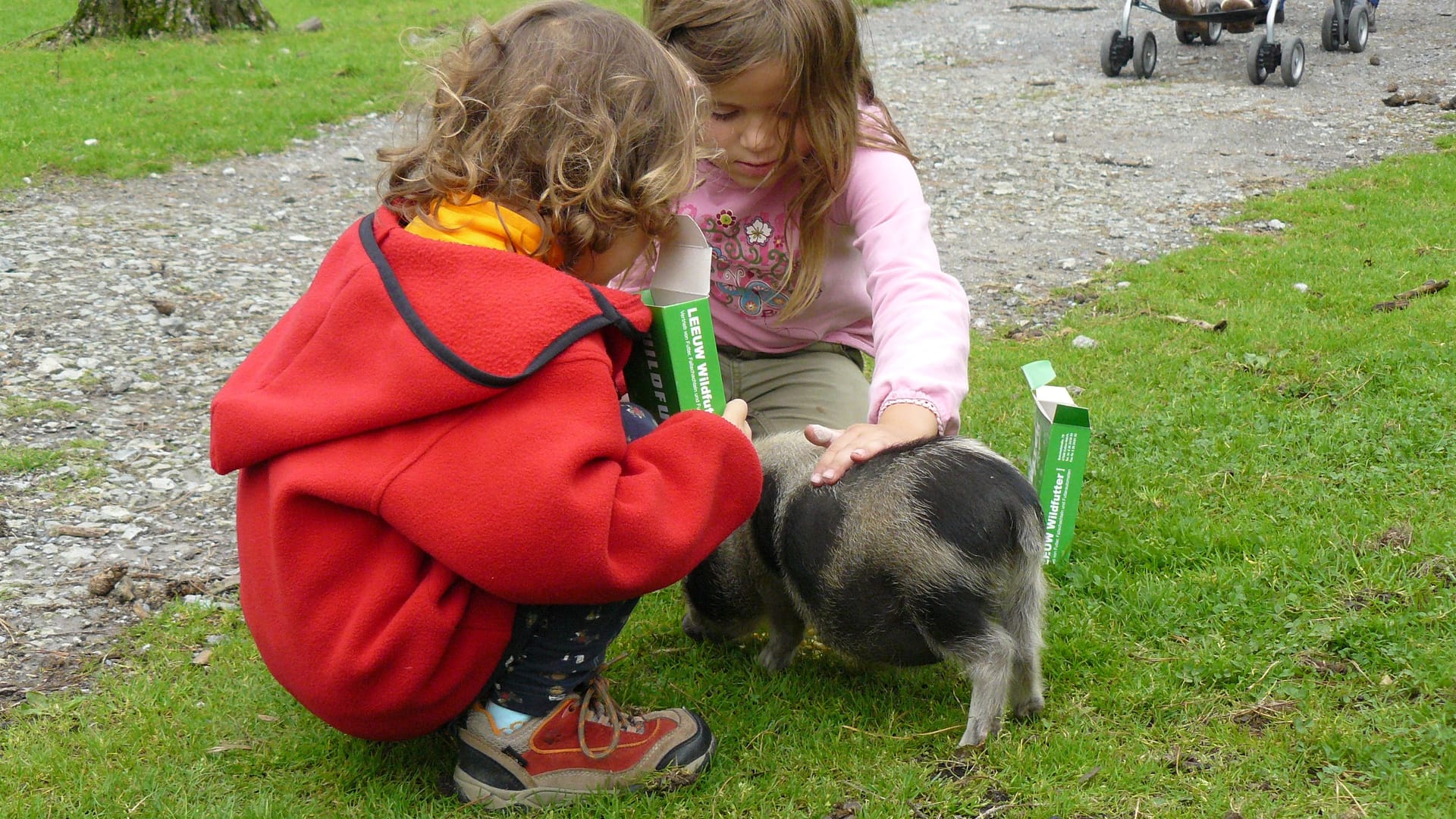 Im Naturwildpark Granat können Besucher die Tiere füttern und sogar streicheln.