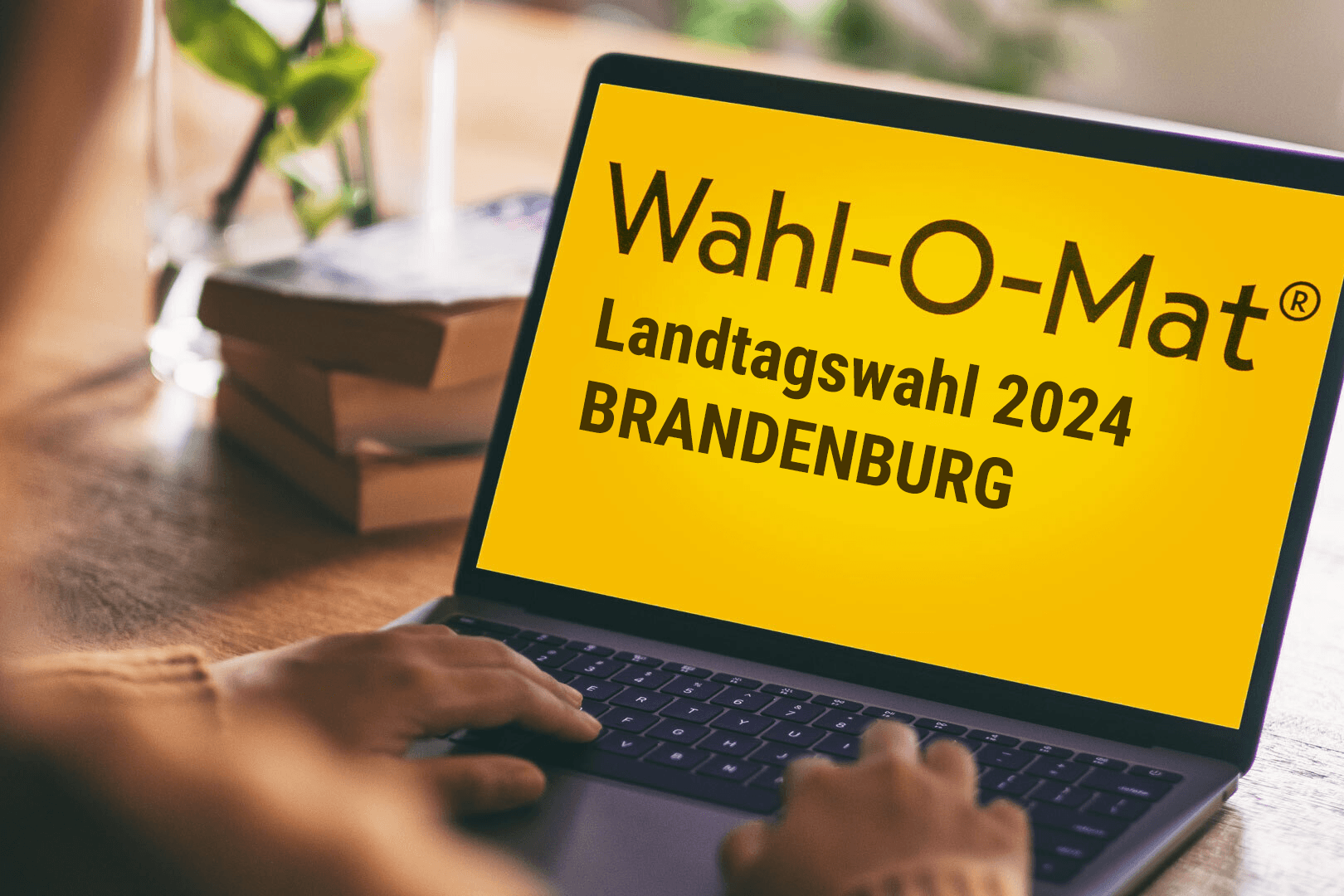 Mit dem Wahl-O-Mat können Sie ermitteln, welche Partei in Brandenburg Ihre Interessen am ehesten vertritt.