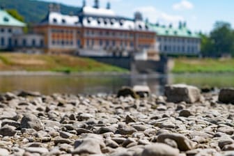 Bilck vom Elbufer auf den Schlosspark von Pillnitz.