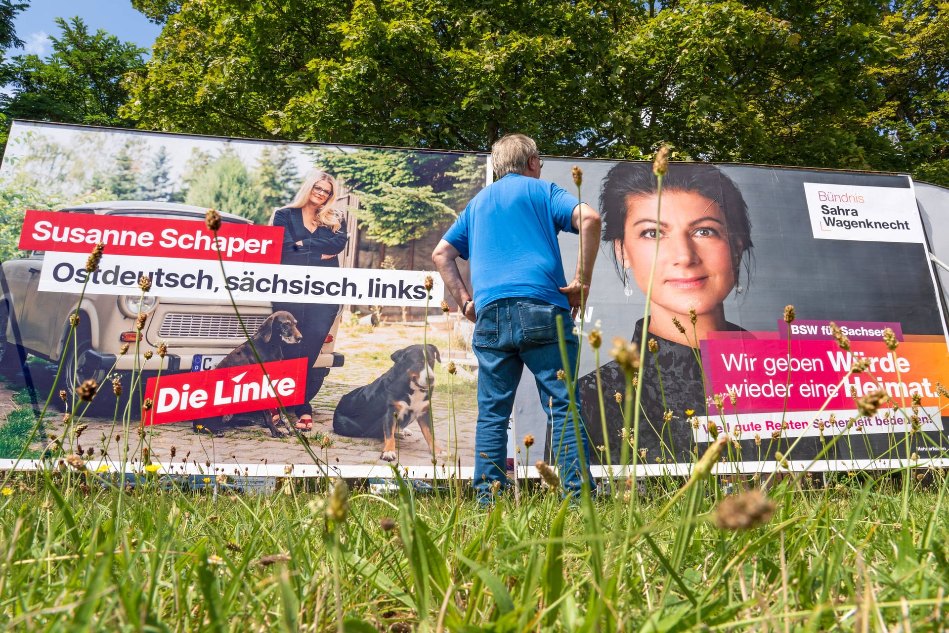 Ein Mann blickt auf ein Wahlplakat der BSW Sachsen.