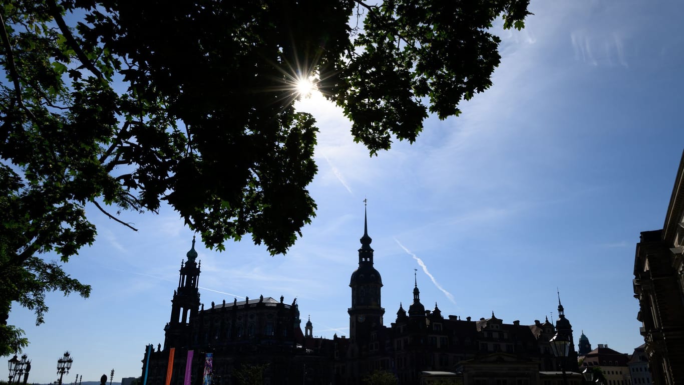 Sommer in Dresden