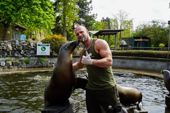 Julian Heck und ein Seelöwe: ein Herz und eine Seele.