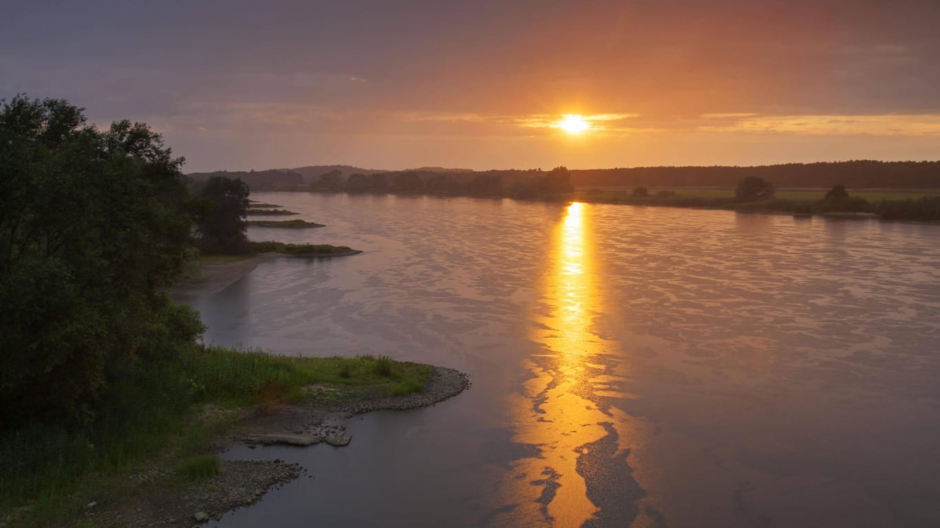 Die Sonne versinkt über der Elbe (Symbolbild): Am 16. August bietet die Lühe-Schulau-Fähre eine besondere Fahrt an.